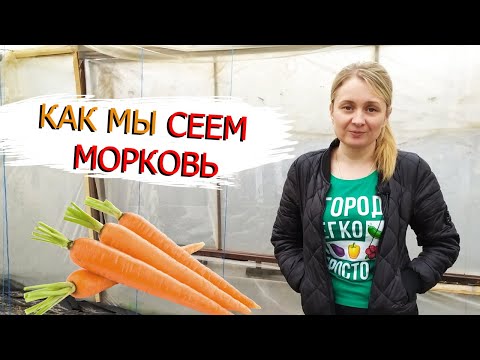 Видео: Морковь взойдёт через 4 дня если сеять её таким способом