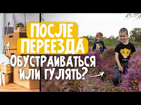 Видео: Вересковые поля, город Харидж и что у нас в саду.