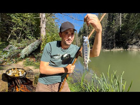 Видео: Выживание 24-Часа в горах! Сделал самодельную удочку, наловил форели. Насобирал белых грибов