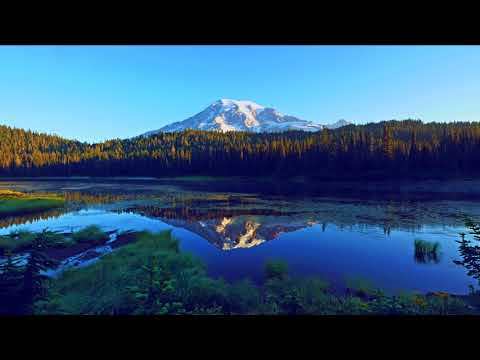 Видео: Медитация (майндфулнесс) -- волшебная сила принятия, озеро спокойствия.