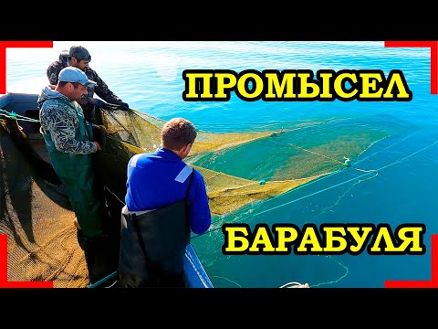 Видео: Рыбалка. Как ловят барабульку, промысел.