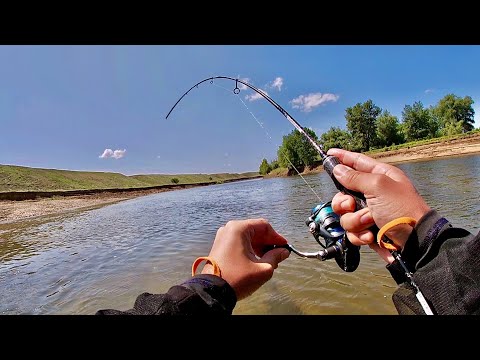Видео: Фрикцион ДЫМИТ от таких ПОКЛЁВИЩ! Рыбалка на секретную приманку