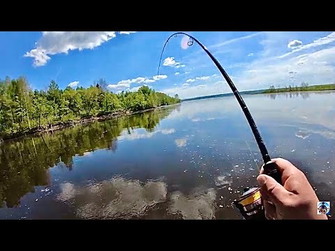 Видео: Джиг на Чебоксарке/она ловит только в ютубе)))