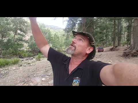 Видео: «Приключения с золотом» (РЕЖИССЕРСКАЯ ВЕРСИЯ) Золотые ковши, железная руда и артефакты