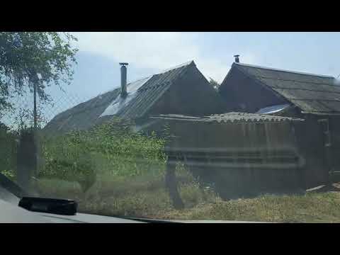 Видео: Усть-Долыссы. От школы до пер.Лесной (15.06.2025г).