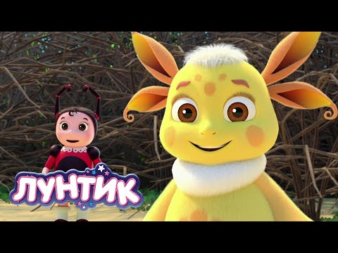 Видео: Лунтик | Дикая природа 🐘🦒🐵🦓 Сборник мультиков для детей