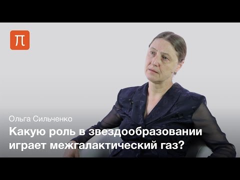 Видео: Роль окружения в эволюции галактик — Ольга Сильченко