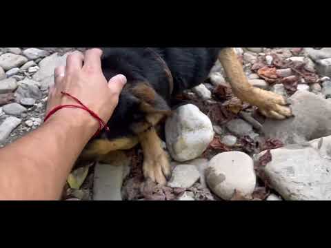 Видео: Каньон Псахо. Обзор ОТ и ДО!