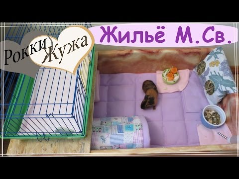 Видео: Обустраиваем жильё морским свинкам мальчикам. Guinea pigs.