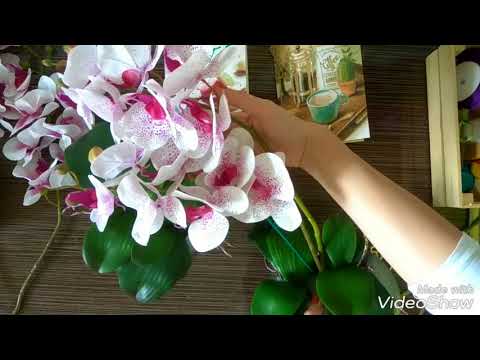 Видео: Мастерская Альфии 🌸 Орхидеи для подружки💖