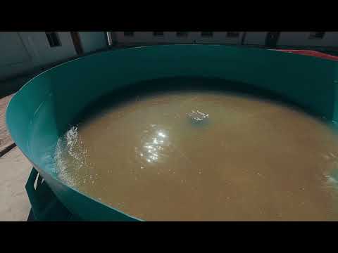 Видео: ХОРАЗМ БАЛИҚ МЧЖ