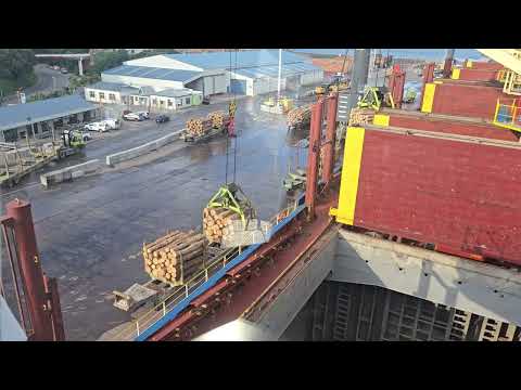 Видео: Погрузка леса в трюм судна