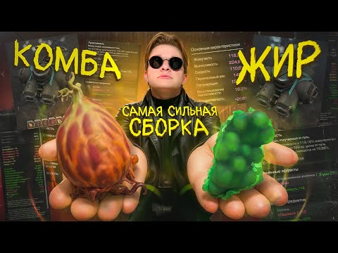 Видео: Собрал САМУЮ СИЛЬНУЮ СБОРКУ в STALCRAFT: X