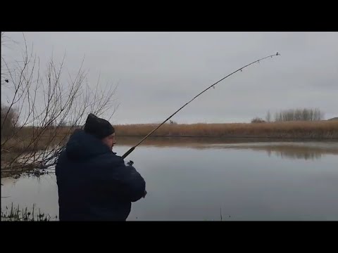 Видео: Завершение сезона рыбалки 1 декабря. Опять в Калаче-на-Дону