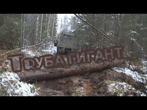 Видео: ТРУБА ГИГАНТ И НЕТРОНУТАЯ ЖД ВЕТКА С ДЕМИДОВСКИМИ РЕЛЬСАМИ