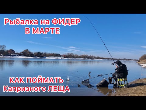 Видео: Рыбалка на ФИДЕР в МАРТЕ на РЕКЕ / Открытие СЕЗОНА 2023