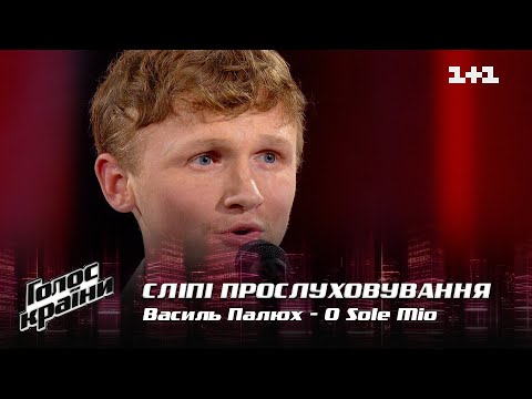 Видео: Василий Палюх — "O Sole Mío" — выбор вслепую — Голос страны 12