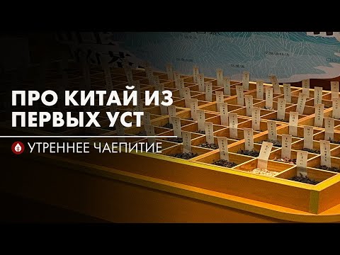 Видео: Про Китай из первых уст | Стрим Art of Tea