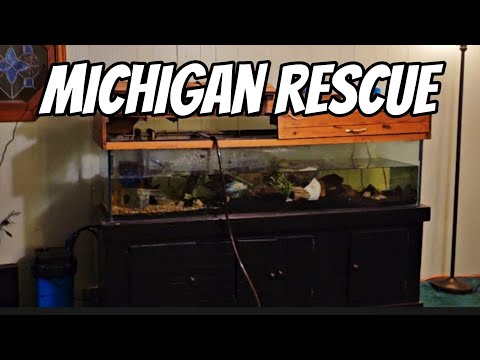 Видео: Спасательная служба Мичигана