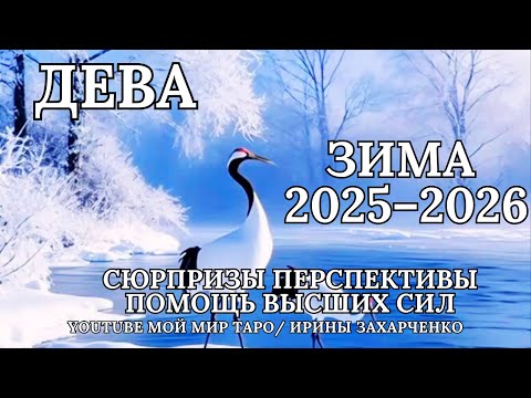 Видео: ♍ ДЕВА ❄️ЗИМА/WINTER ❄️2025-2026 Таро прогноз для Дев/Tarot forecast from Virgo.