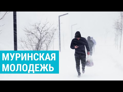 Видео: Мурино. Гетто под Петербургом или город молодежи?