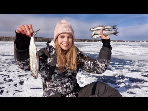 Видео: РЫБАЛКА НА 28 МЕТРАХ НОЧЬЮ В ПАЛАТКЕ! Достаю рыбин с глубины и отдыхаю в доме на льду.