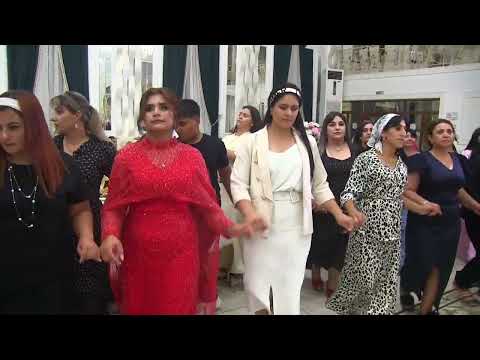 Видео: Супер Курдская свадьба Шымкент💣💣💣 Микеев Эльдар kurdish wedding 2025