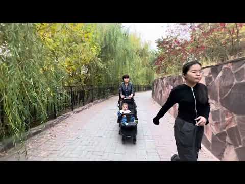 Видео: Шымкенттеги 2ши кунимыз Дендропаркте болды 🍁🍂🍂🍁🍂🍁🍂🍁