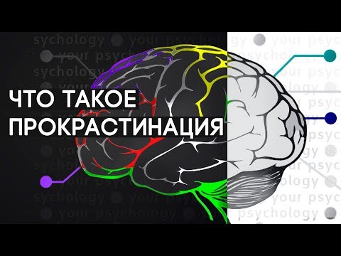 Видео: Что такое прокрастинация