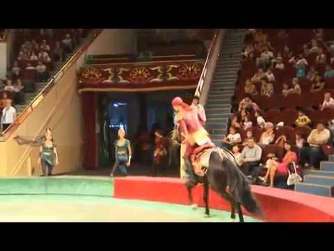 Видео: Конно акробатический номер Номад