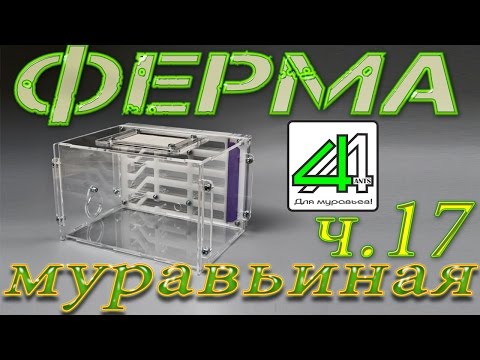 Видео: Муравьиная ферма Сталинка от 4Ants.ru