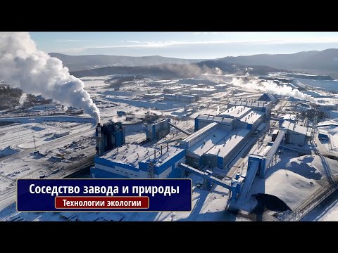 Видео: Технологии экологии. Соседство завода и природы