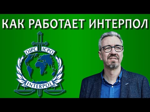Видео: Как работает международный розыск