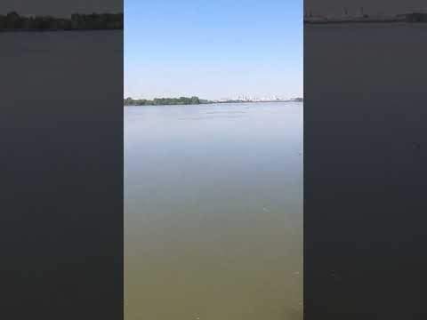 Видео: Бешеный клев язей #рыбалка