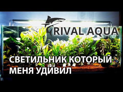 Видео: Новый светильник Rival Aqua для 140 л аквариума. Очень приятно удивил!