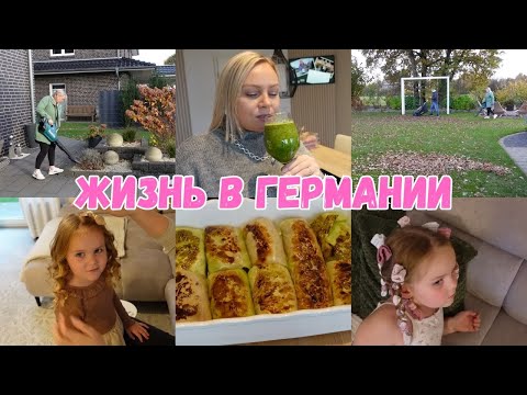 Видео: VLOG🇩🇪: ПОЛЕЗНЫЙ СМУЗИ 🥂ГОТОВЛЮ ГОЛУБЦЫ/ УБИРАЕМ ЛИСТЬЯ😱🍂🍁КУДРИ НА НОСКИ 🧦👍🏻