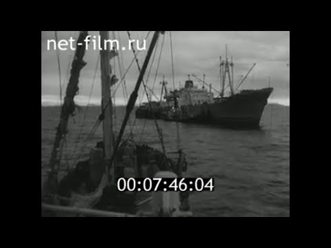 Видео: 1963г. Калининград. плавбаза "Святогор"