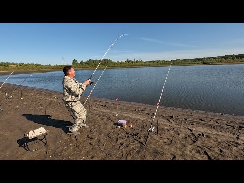 Видео: ОГРОМНЫЙ САЗАН РАЗНЕС ПОДСАК, ЕЛЕ ВЫТАЩИЛ ЕГО. РЫБАЛКА НА ДОНКИ. РЫБАЛКА НА ФИДЕР. РЫБАЛКА.