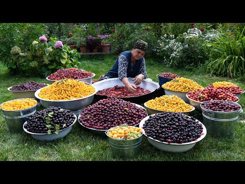 Видео: Фруктовые Компоты
