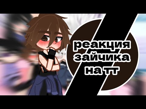 Видео: Реакция зайчика на тт (ч.о) #зайчик