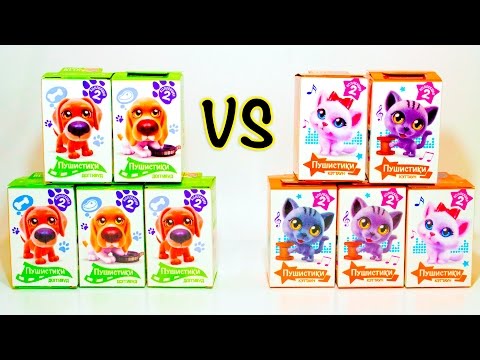 Видео: КОТЯТА против ЩЕНЯТ Кошечки против Собачек ЧЕЛЛЕНДЖ Доггивуд vs Кэттаун от Свитбокс