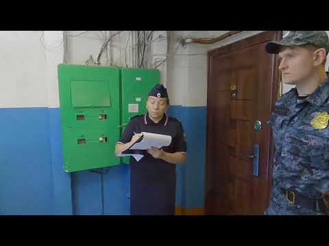 Видео:  Исполнительные действия.Общение с Макаром   ч.62  21.09.2025