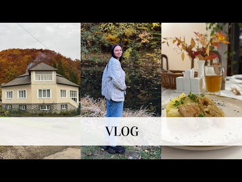 Видео: Село на Закарпатті🏠Придивились собі будинок😌Насолоджуємось відпочинком.