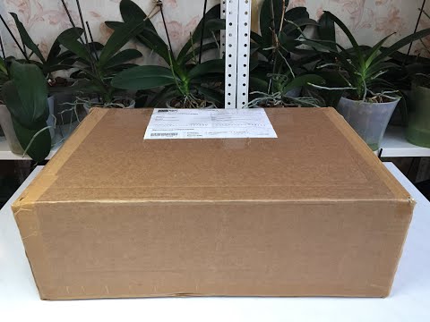 Видео: И ЕЩЕ БОЛЬШЕ  АЗИАТСКИХ ОРХИДЕИ в моей коллекции!!!