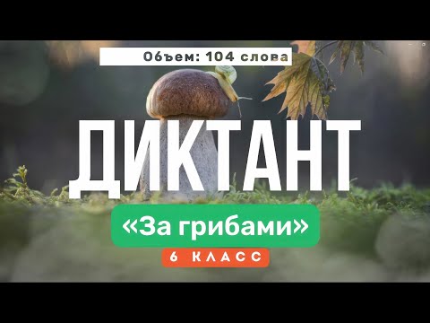 Видео: Входной ДИКТАНТ по русскому языку — 6 класс | Текст «За грибами»