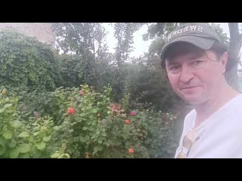 Видео: Таганрог осмотр 