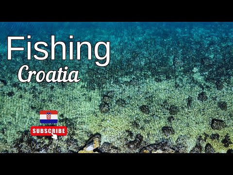 Видео: Рыбалочка часть 2 || Хорватия ||
