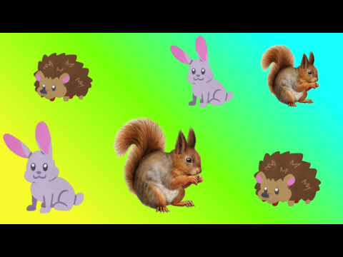 Видео: Цікава математика 