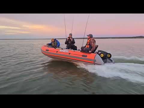 Видео: 13 ноября 2025 г.