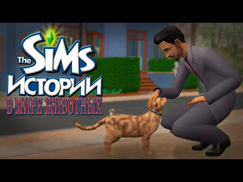 Видео: 🦎 Поиграла В The Sims Истории О Питомцах И Это...